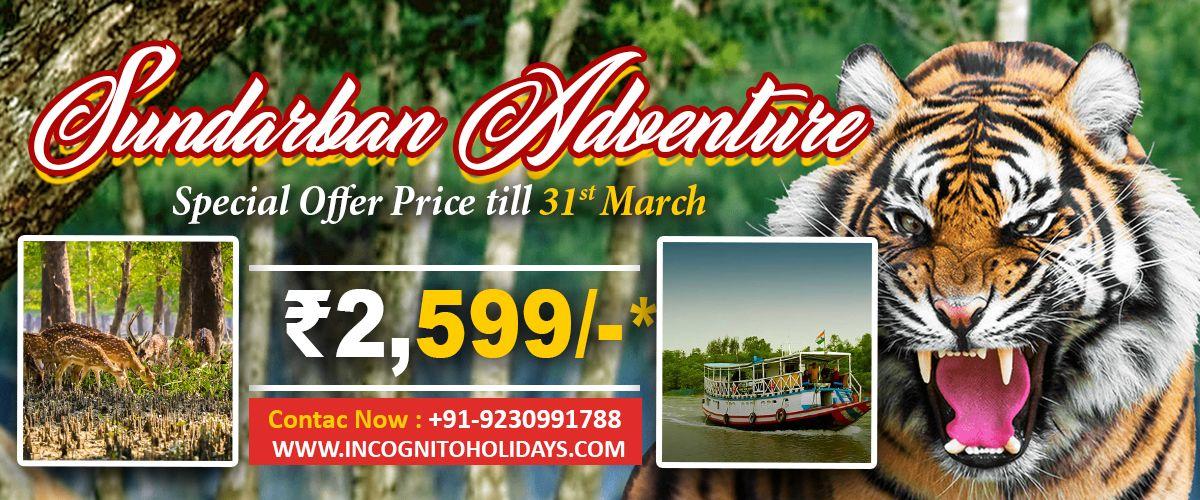 Budget Sundarban Tour Package