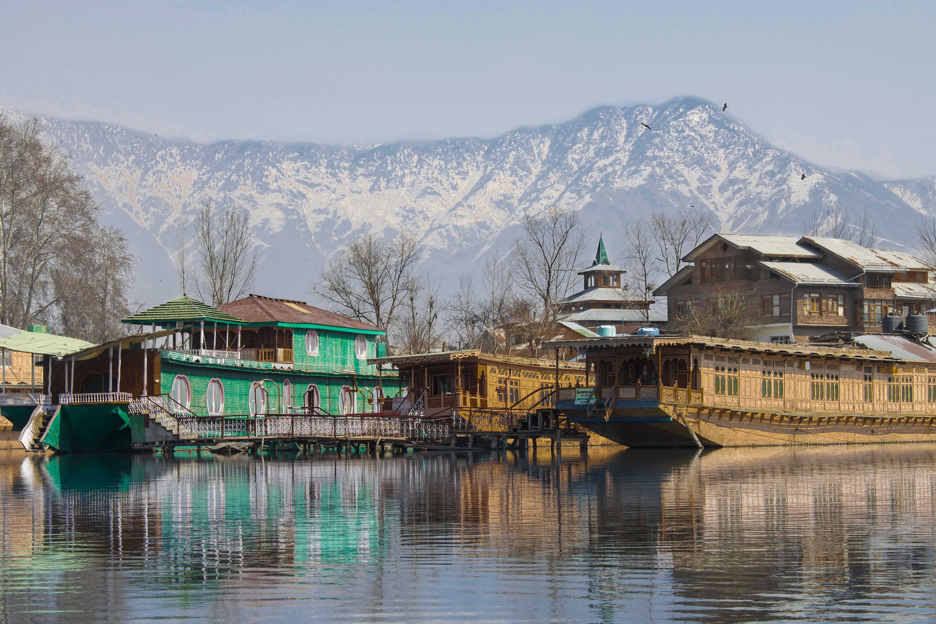 kashmir